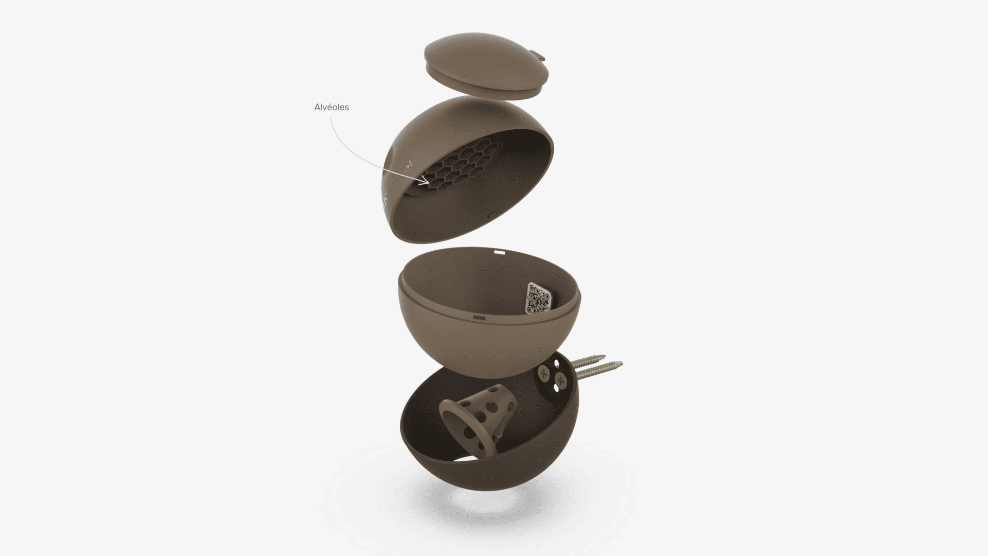 Vision Nest 3