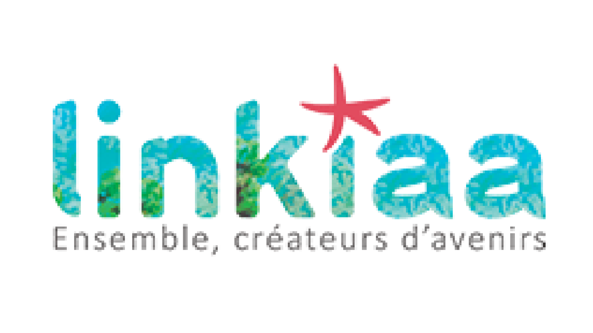 logo linkiaa