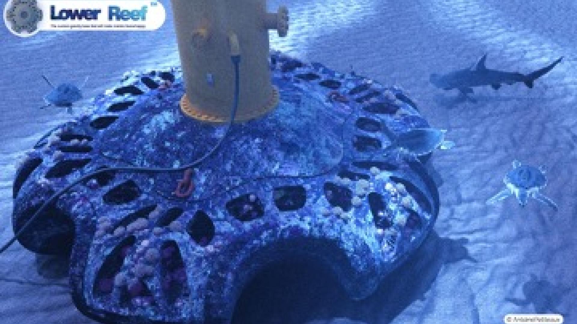 lower reef